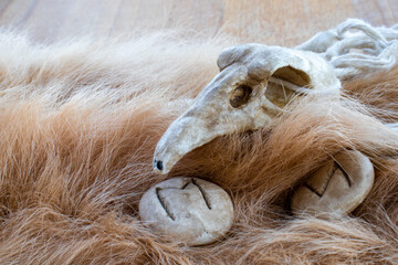 Stone runes and bird skull on a animal fur. Futhark viking alphabet. Close up photo of Norse runes.