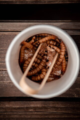 larvaes in the mug, food for hunters