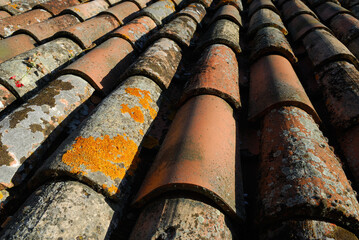 Lichen encrusted mission clay roof tiles in Italy