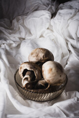 mushrooms mushrooms on a rustic white cloth on a white plate and fork