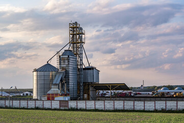 Obraz premium Modern Granary elevator with silver silos on agro-processing and manufacturing plant for processing drying cleaning and storage of agricultural products, flour, cereals and grain.