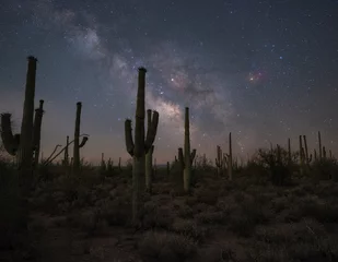 Gordijnen Silhouettes of Saguaro cactus and the Milky Way Galaxy © Michael