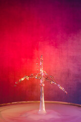 The Coat Hanger