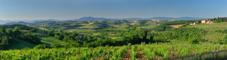 Fototapeta na wymiar Panorama of hills of Chianti and vineyard of Castello Il Corno Tuscany Italy