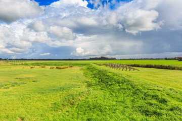 Fototapeta premium Landscape former Zuiderzee Island Schokland in the Dutch Noordoostpolder created by the drying of the IJsselmeer with wooden ice breakers against drift iceand sky with scattered clouds