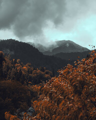 Mountains Abkhazia