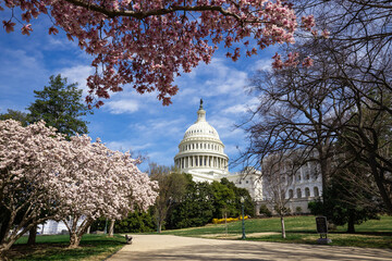city capitol building in spring