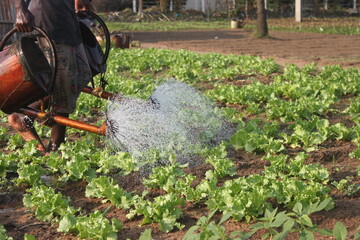 Fototapeta premium Au jardin 