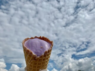 Blueberry ice cream