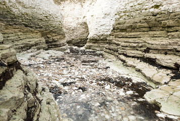 Small tidal creek channel at low tide