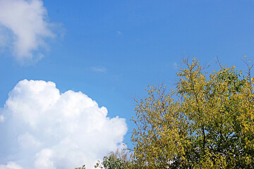 Obraz premium 구름