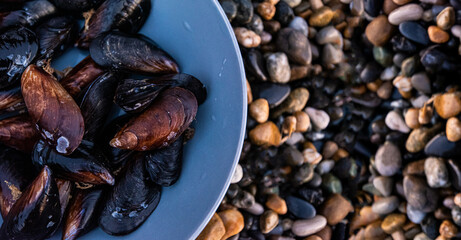 a fresh catch of mussels on the wet shore of the sea in a grey plate