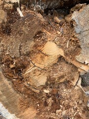 Rustic wooden background