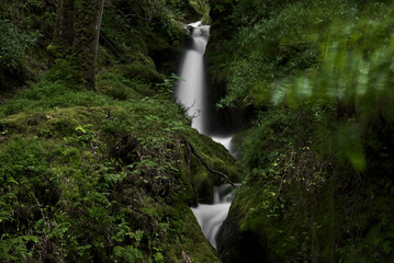 Small narrow waterfall in magic forest. Tiny waterfall. Long-exposure photo of Poulanass Waterfall, Wicklow Way, Derrybawn, Co. Wicklow, Ireland
