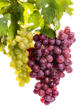 Green and pink grapes with green leaves on a white background. isolate