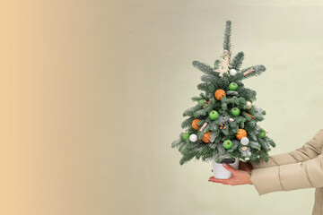 Christmas tree made of twigs and decorated with cinnamon sticks and tangerines in hands . Natural eco toys and home decoration. Place for text. Christmas composition. Copy spase