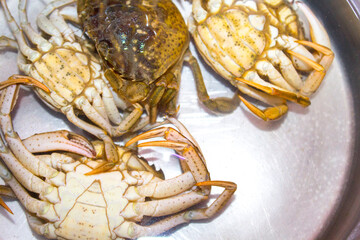 boiled green crabs in the water