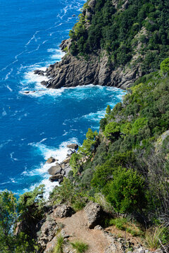 La Cala degli Inglesi vista da un sentiero sul monte di Portofino (Liguria, Italia)