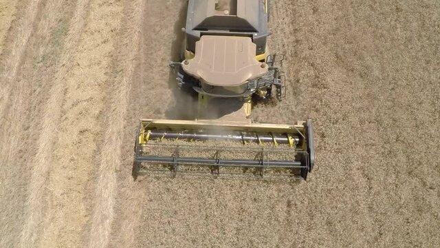 Combine harvester agricultural machine collecting golden ripe wheat on the field
