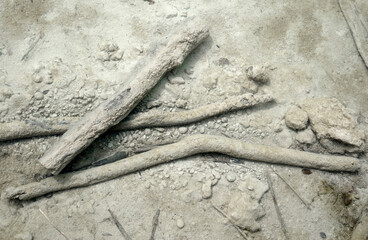 Abstract natural details in Plitvice National Park, Croatia, Europe