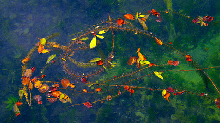 Fototapeta na wymiar Autumn colors in Plitvice National Park, Croatia, Europe