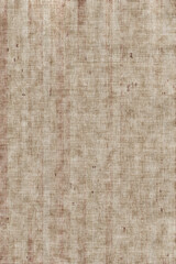 birch wooden background texture structure backdrop