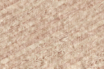 birch wooden background texture structure backdrop