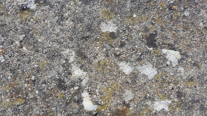 cement stone wall background surface backdrop