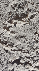 cement stone wall background surface backdrop
