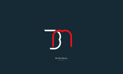 Obraz premium Alphabet letter icon logo BM