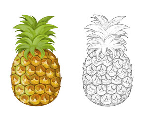cartoon pineapple on white background - illustration