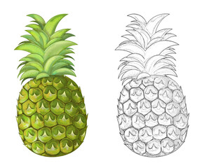 cartoon pineapple on white background - illustration