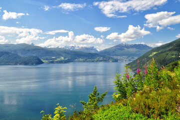 Fototapeta na wymiar Beautiful clear mountain lake with flowers in the foreground in Norway.