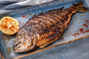 Grilled dorado. Natural delicious food. Greek cuisine menu. Still life in a marine style on a blue background.