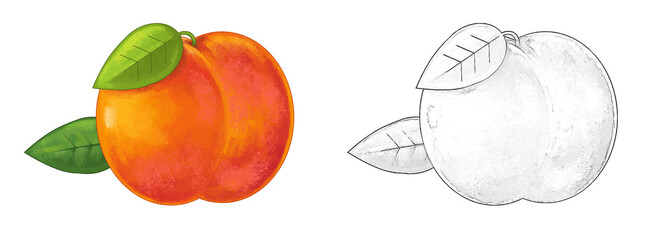 cartoon peach on white background - illustration