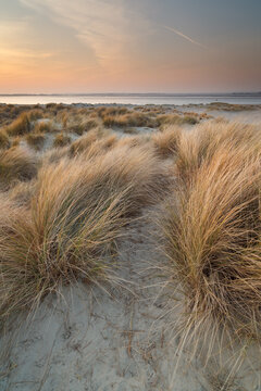 Beautiful sand dunes of West Wittering beach in Sussex