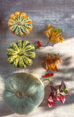 autumn decor from pumpkins, red berries foliage