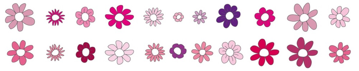 pink Flowers, set of Daisies, hand drawing, isolated, vector, illustration