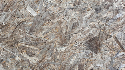 wood background texture structure backdrop