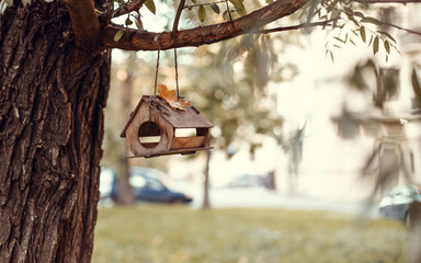 Wooden birdhouse on a tree close-up on the background of the autumn forest, a beautiful view of a three-quarter birdhouse in the autumn Park, a cozy bird house with Golden leaves in the background.