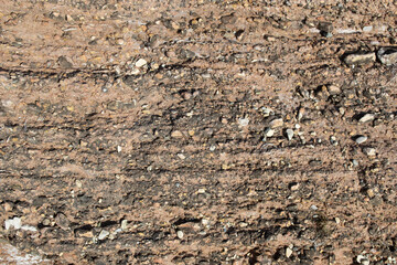 View of the texture of natural limestone interspersed with small stones.