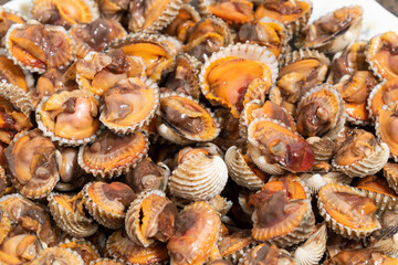 Close-up, boiled cockles arranged on a plate