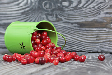 Red cranberries in an overturned green bucket. Lies on brushed boards. Some berries are scattered nearby.