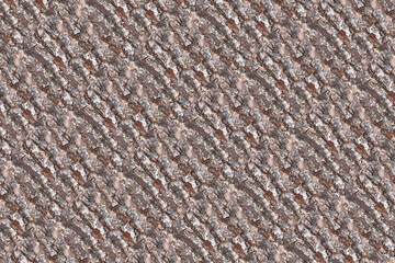 wood tree timber texture pattern backdrop