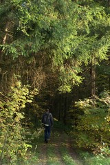 A man in a gray sweater, blue jeans and with a backpack walks along the path into the autumn forest