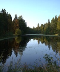 Fototapeta na wymiar Autumn forest reflected in lake water at dusk