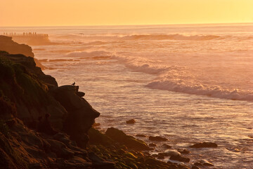 People Watching Sunset on Rocky Beach at La Jolla Cove,La Jolla, California,USA