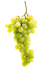 A bunch of green grapes on a white background. Isolate
