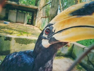 Hello dear Birdy