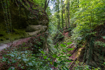 Spetzgart and Hodinger Tobel on Lake Constance near Sipplingen and Uberlingen